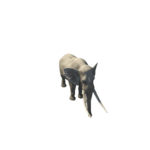 Elephant_Legacy