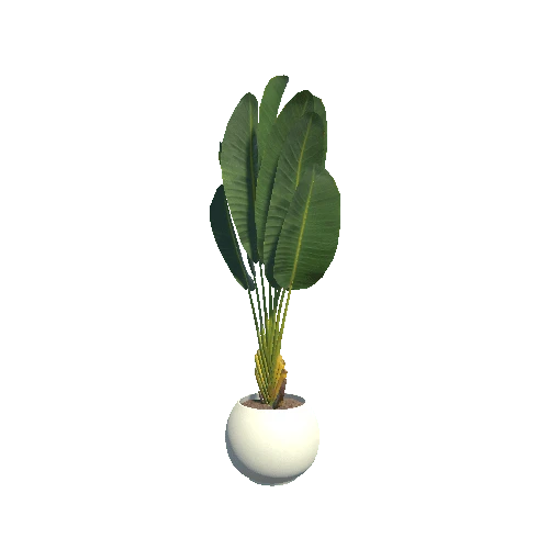 plant_1