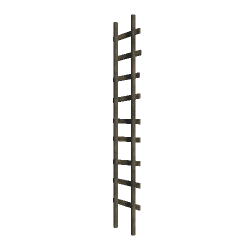 Ladder_L1