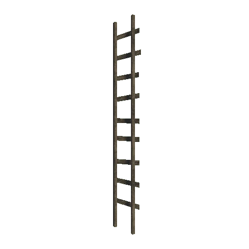 Ladder_L2