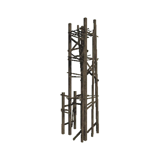 Scaffold_1_L1