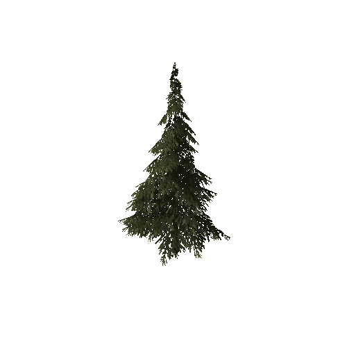 Tree5_hi