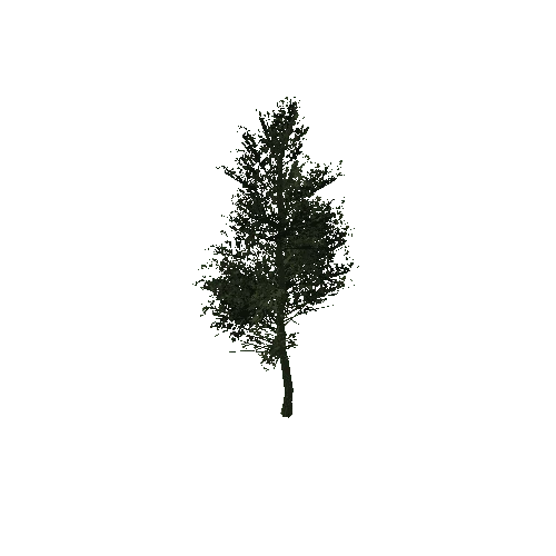 Tree8