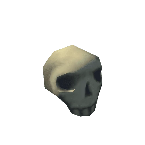 skull_001