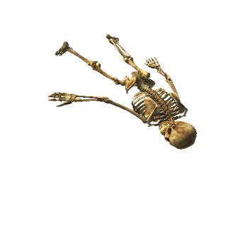 skeleton_Lying