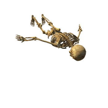 skeleton_T_pose