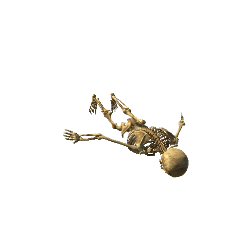 skeleton_T_pose