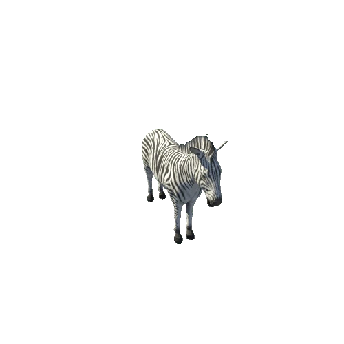 Zebra_PBR