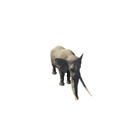 Elephant_PBR