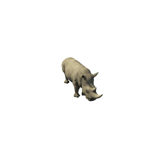 Rhinoceros_PBR