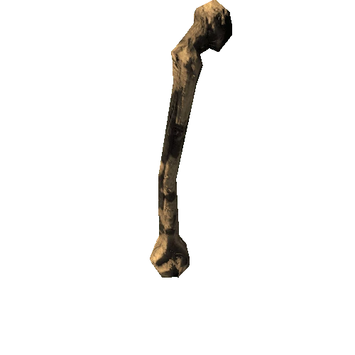 Femur_PBR