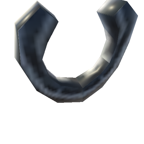 horseshoe