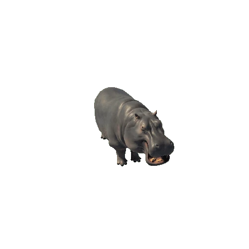 Hippopotamus_PBR