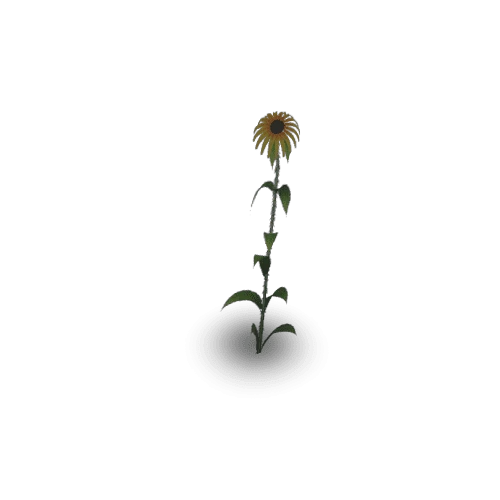 Sunflower_base