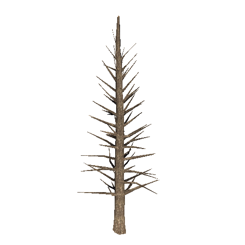 DeadTree11_1