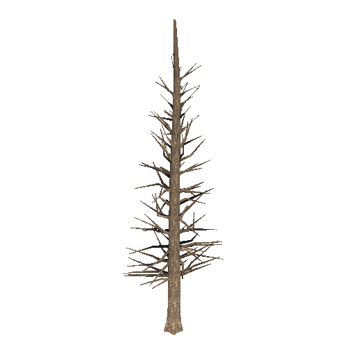 DeadTree13_1