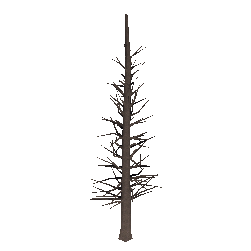 DeadTree13_1_2