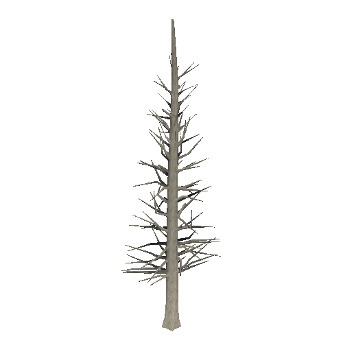 DeadTree13_1_2_3_4