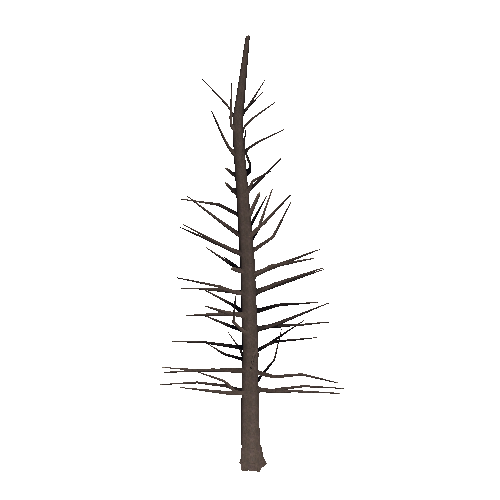 DeadTree14_1_2