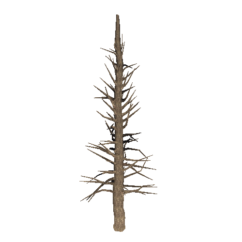 DeadTree16_1