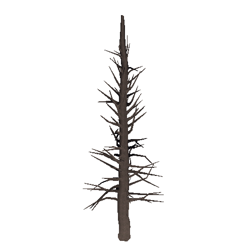 DeadTree16_1_2