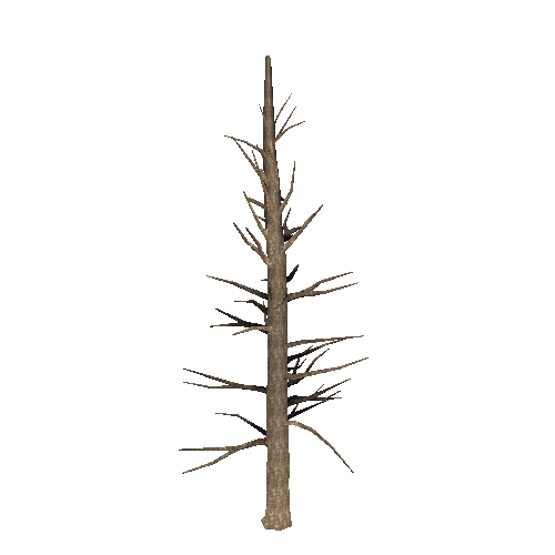 DeadTree18_1