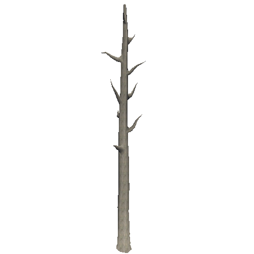 DeadTree1_1_2_3_4