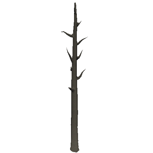 DeadTree1_1_2_3_4_5_6_7_8