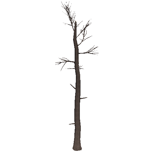 DeadTree21_1_2