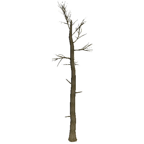 DeadTree21_1_2_3_4_5_6