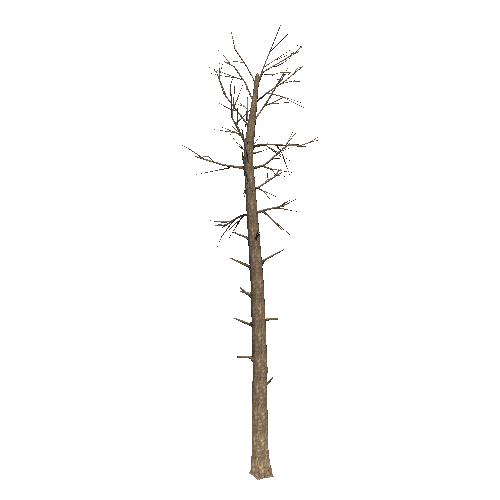 DeadTree22_1