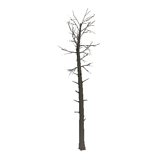 DeadTree22_1_2_3_4_5_6_7_8