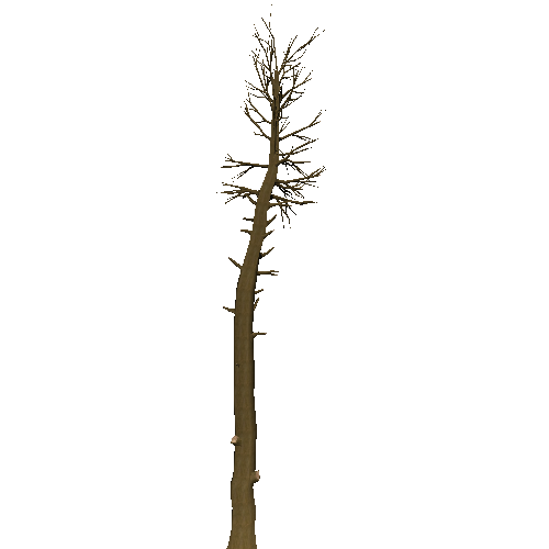 DeadTree24_1_2_3_4_5