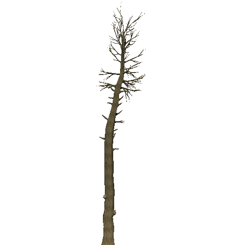 DeadTree24_1_2_3_4_5_6