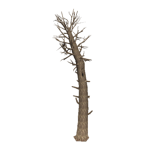 DeadTree25_1