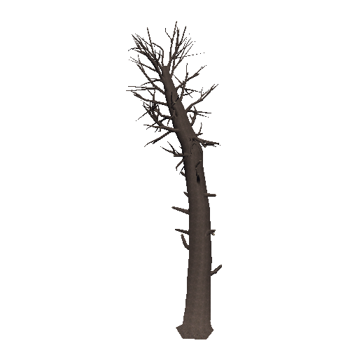 DeadTree25_1_2