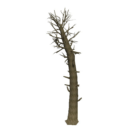 DeadTree25_1_2_3_4_5_6