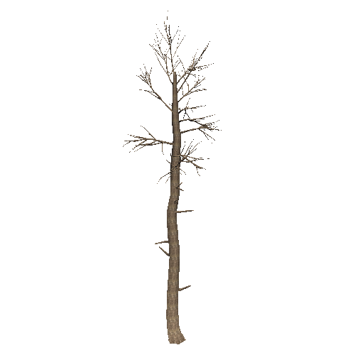 DeadTree26_1