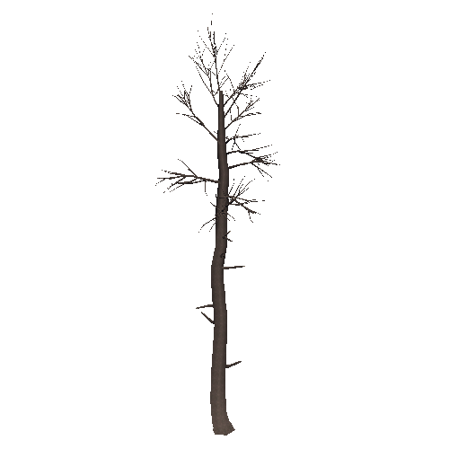 DeadTree26_1_2