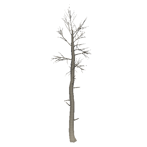 DeadTree26_1_2_3_4