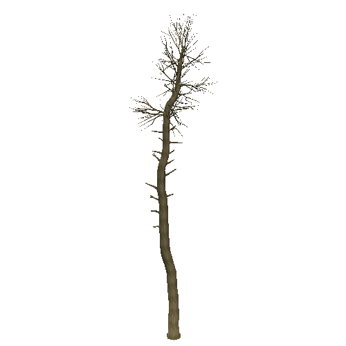 DeadTree27_1_2_3_4_5_6