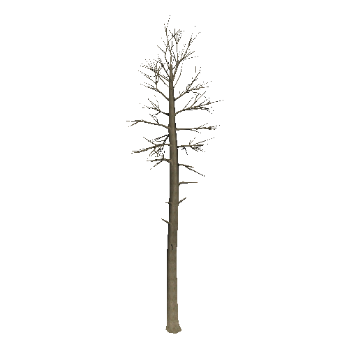 DeadTree29