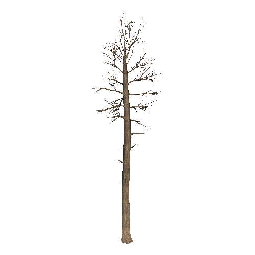 DeadTree29_1