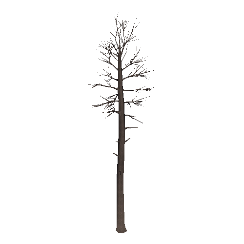 DeadTree29_1_2