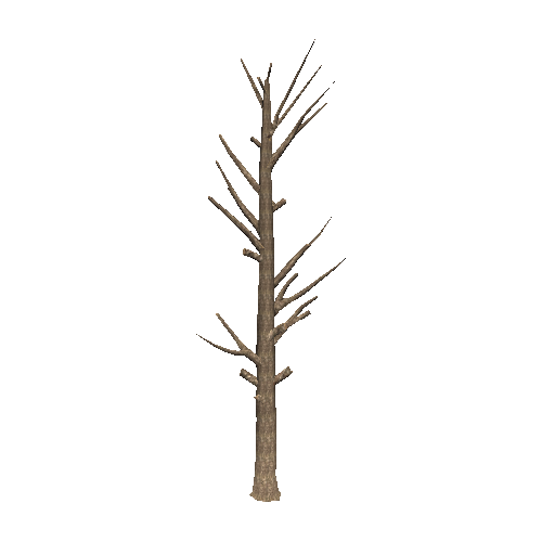 DeadTree33_1