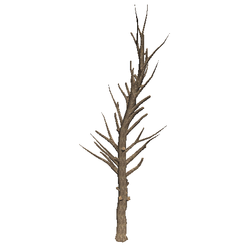 DeadTree34_1