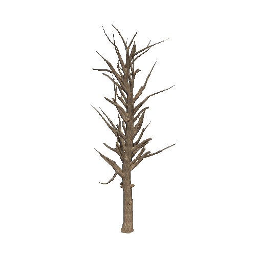 DeadTree38_1