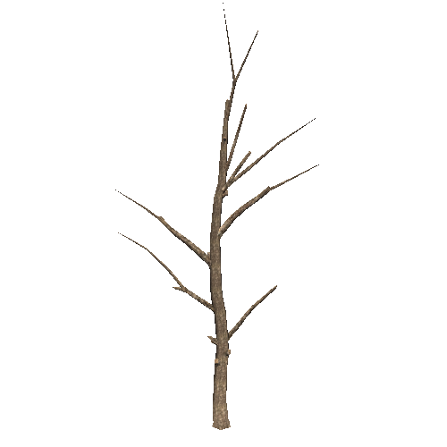 DeadTree39_1