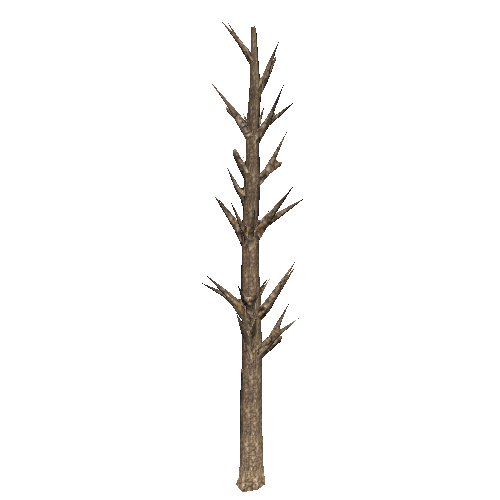 DeadTree3_1