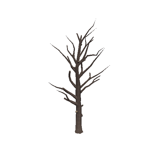 DeadTree40_1_2